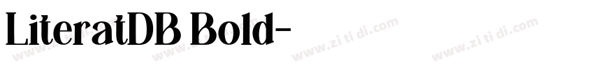 LiteratDB Bold字体转换 LiteratDB Bold字体转换